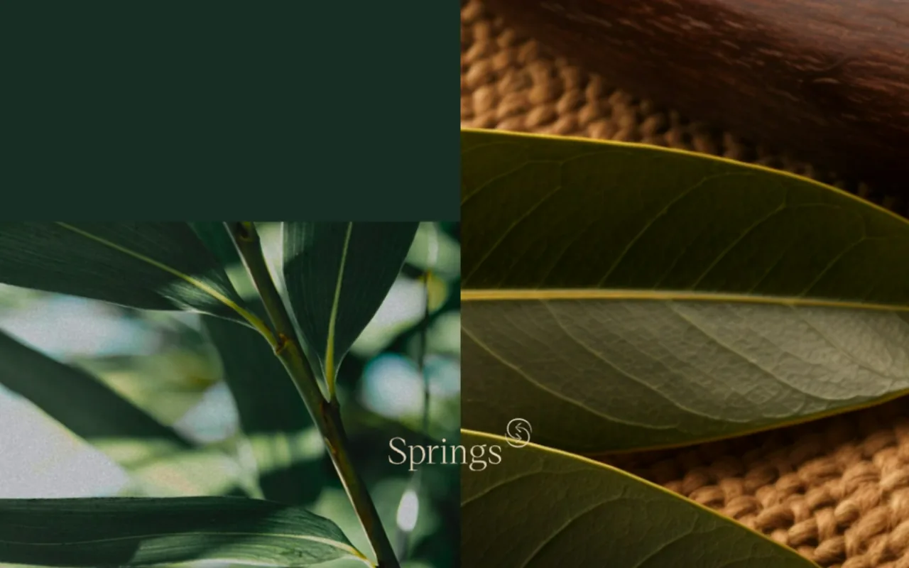 Springs